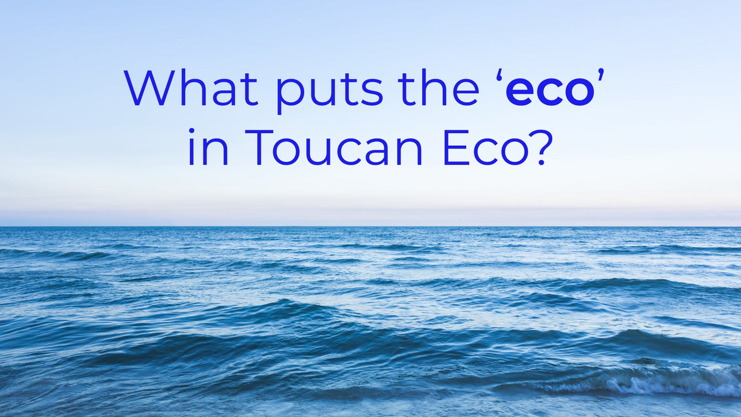 What puts the ‘eco’ in Toucan Eco?